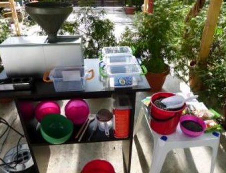 Presa ulei electrica extractie din susan