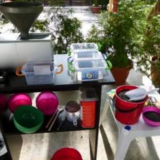 Presa ulei electrica extractie din susan